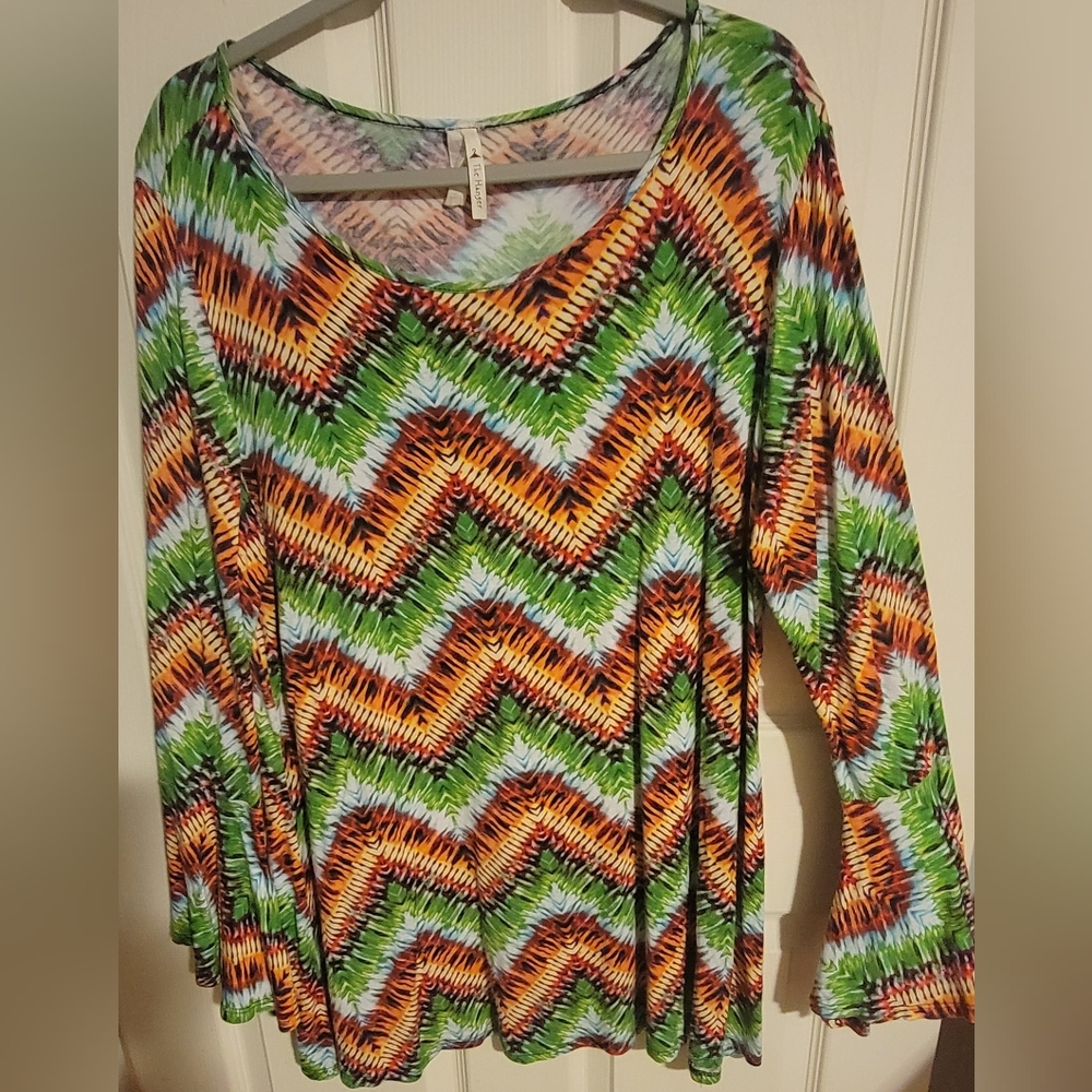 The Hanger Tunic top women's Multicolored